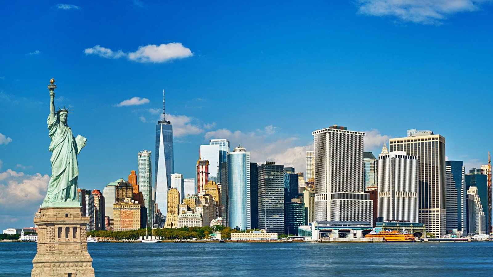 Pet Relocation to United States of America